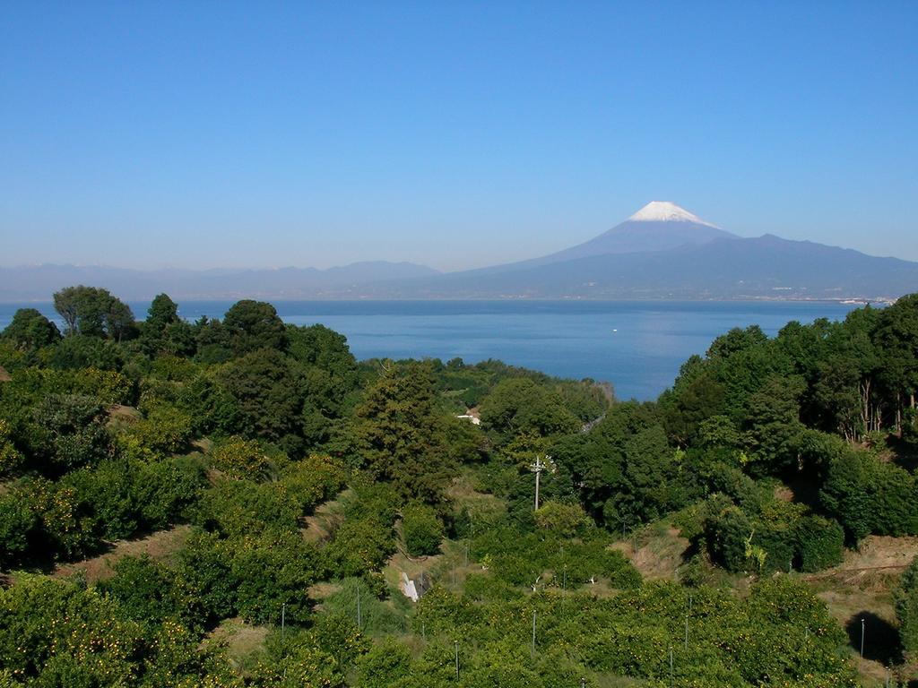 Yamaya Hotell Numazu Eksteriør bilde